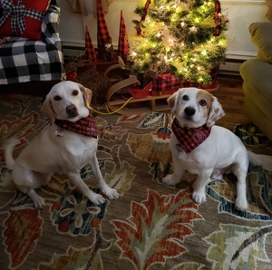 Fundraising Page: Rebecca Stager